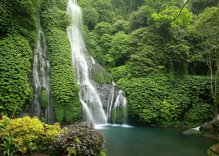 ベッド・アンド・ブレックファスト Waterfall Treehouse Cabins 3*