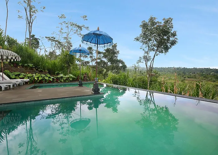 ベッド・アンド・ブレックファスト Waterfall Treehouse Cabins 3*